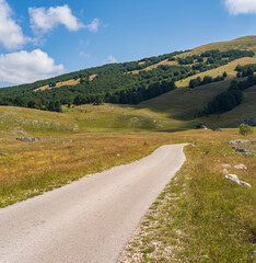 Flock of sheep on pasture near secondary countryside road through mountain Durmitor National Park, Montenegro, Europe, Balkans Dinaric Alps, UNESCO World Heritage.