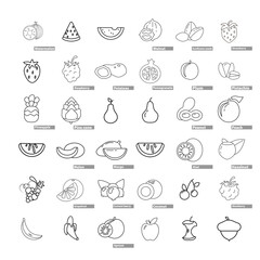 fruit line icon set, with watermelon, melon, apple, peach, grapes, coconut, orange, kiwi, mango