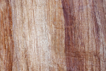 Antique papyrus as background