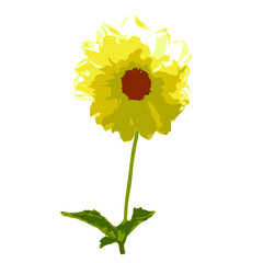 Yellow dahlia on a stalk with leaves. Cute, sunny flower. Summertime. Vector stock illustration of flower isolated on white background.
