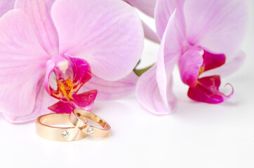 Close-up of wedding rings on background of orchids