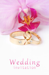 Close-up of wedding rings on background of orchid