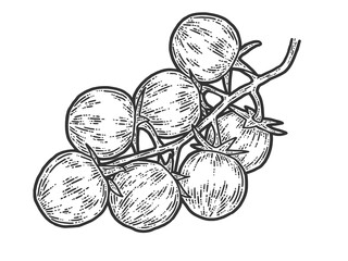 Cherry tomatoes. Sketch scratch board imitation. Black and white.