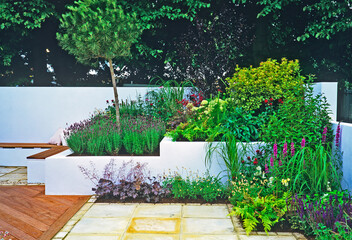 A modern garden with raised and enclose flower borders and colourful display of mixed planting
