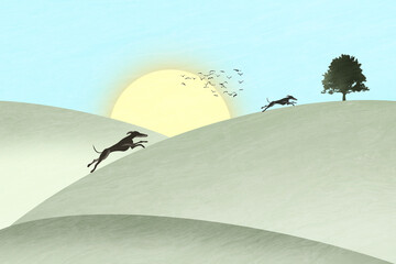 Greyhounds running up hill at suset