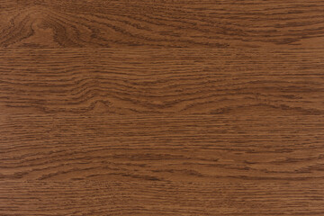 Naklejka premium Oak veneer, natural wood texture for the manufacture of furniture, parquet, doors.
