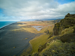 beautiful scenery in Iceland and seagull