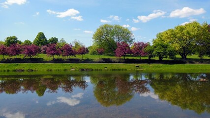 Beautiful spring landscape with pond and bright, colorful trees in the park. Kepa Potocka, Warsaw,...