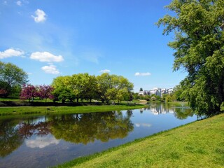 Fototapeta premium Beautiful spring landscape with pond and bright, colorful trees in the park. Kepa Potocka, Warsaw, Poland. The oxbow lake of the Vistula at Kepa Potocka - 18 hectares green rectreation area 