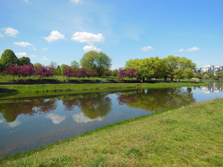 Beautiful spring landscape with pond and bright, colorful trees in the park. Kepa Potocka, Warsaw, Poland. The oxbow lake of the Vistula at Kepa Potocka - 18 hectares green rectreation area 