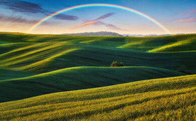 Obraz premium Scenic view of rainbow over green field