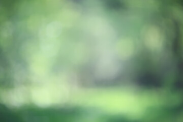 Obraz premium abstract green summer bokeh background, gradient view art texture glow
