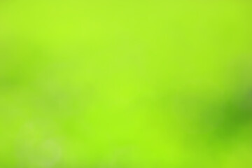Fototapeta na wymiar abstract green summer bokeh background, gradient view art texture glow