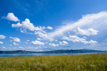 Obraz premium Blue sky over the flowering steppe and Siberian river.