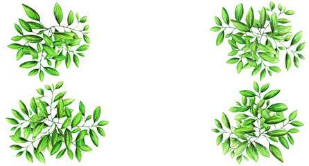 Luminosa plantilla de ramas de hojas verdes 