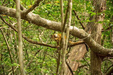 Obraz premium mother and son conection