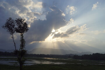 Beautiful evening in Wasgamuwa National Park, Sri Lank