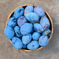 Ripe plums in a wooden bowl