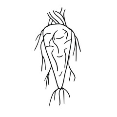 Root. Rod root system. Vector illustration of a contour isolated on a white background. For Botanical books and design.