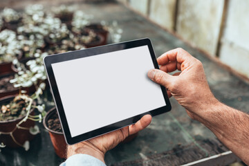 man working in flower nursery. small family business concept