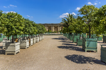 Beautiful Orangerie Parterre (1684 - 1686) in Versailles palace. It features 1,055 trees, including palm trees, oleanders, pomegranate and orange trees. Versailles, Paris, France.
