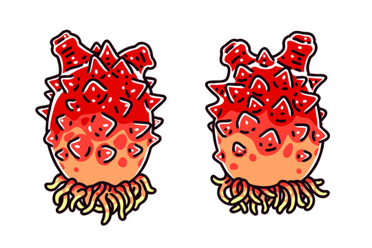 Sea squirts. Colored vector illustrations set.