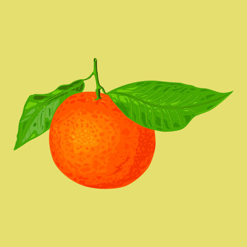 Fresh orange