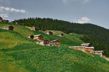 Landscape photo of Pokut Plateau with traditional wooden houses. Taken in summer at northeastern Black Sea region of Turkey