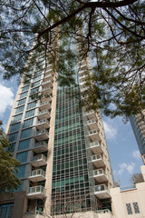 tall building view through the foliage