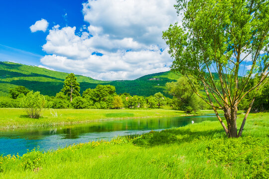 Beautiful green landscape, river Gacka flowing between the meadow fields in Lika region of Croatia
