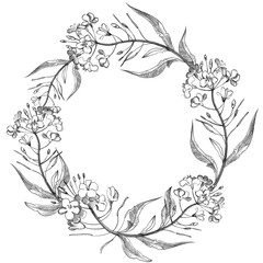 Seamless floral pattern in vintage style. Flowers, leaves and herbs. Botanical illustrations.