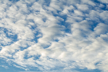 Deep blue sky and white cloud background.Altocumulus clouds.