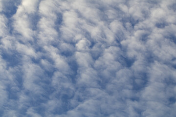 Obraz premium Deep blue sky and white cloud background.Altocumulus soft white clouds against blue sky.