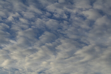 Deep blue sky and white cloud background.Altocumulus soft white clouds against blue sky.