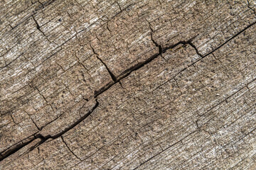 weathered wood detail