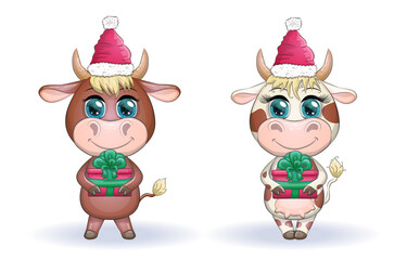 Fototapeta premium Cute cartoon cow, bull with a Christmas present and in a red santa claus hat, symbol 2021 on the eastern calendar
