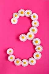 The number 3 is written in white pink flowers on a bright pink background. The number three is written in fresh flowers highlighted on a pink background. Arabic numerals inlaid with daisies.