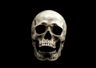 Laughing Human Skull.  Evil Skeleton. Skull with open mouth isolated on black background. - 355168293