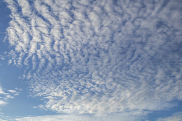 Blue sky and white cloud background.Altocumulus soft white clouds against blue sky.