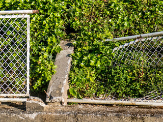 Beschädigter umgestürzter Metall Zaun