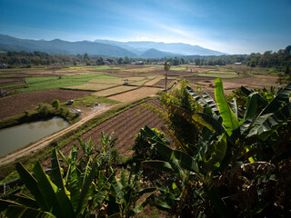 Vegetable Beds in The Countryside behind The Mountain