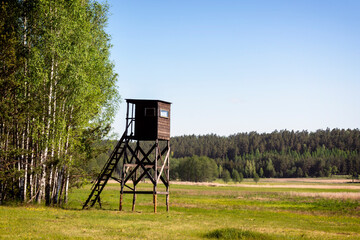 Dolina rzeki Ploski. Puszcza Knyszyńska. Szlaki turystyczne Podlasia, Polska © podlaski49