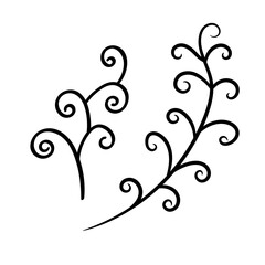 Botanical vector illustration of single herbal element. Ink drawing in Doodle style. Isolated object on a white background. Decorative element for spring and summer design, wedding, vignettes.