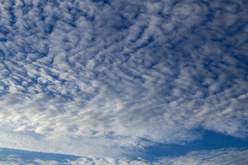 Deep blue sky and white cloud background.Altocumulus soft white clouds against blue sky.