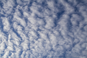 Fototapeta na wymiar Deep blue sky and white cloud background.Altocumulus soft white clouds against blue sky.