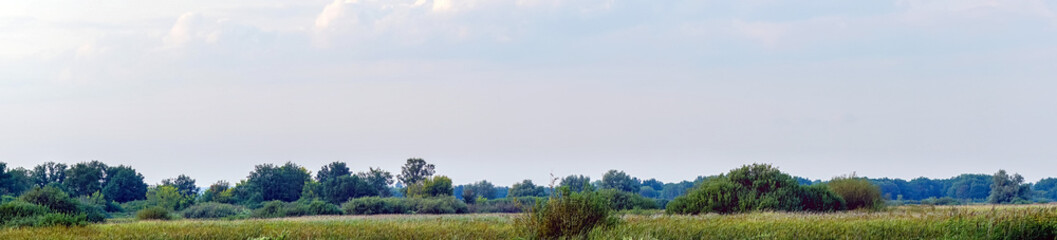 Panorama of a large green meadow on a cloudy day