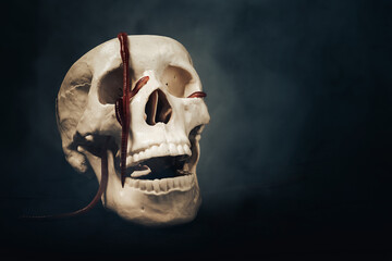 A creepy human skull in smoke with worms in its eye sockets. The concept of Halloween, a dramatic interpretation of life and death.