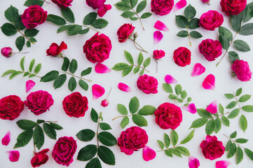 Flowers composition. Pattern made of pink flowers on white background. Valentines day, mothers day, womens day concept.