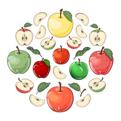 Hand drawn vector illustration with whole, half, cut and sliced apple fruits. Round concept vector drawing for card, banner, label, package, advertising, print or poster.