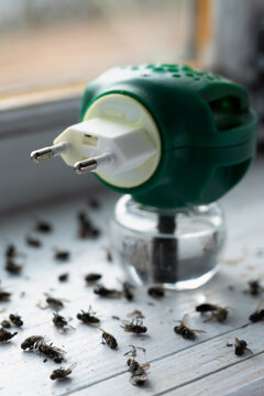 Fumigator with liquid insecticide standing on the window sill among a big quantity of dead flies lying in the sill